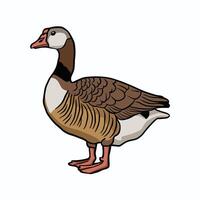 Set of cute white goose. goose illustration white background vector