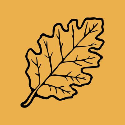 oak leaf silhouettes on the white background