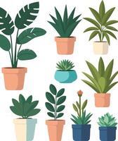 House plants home decor illustration set. Cartoon potted green plants flowers collection, houseplants in clay pot, hanging decorative vector