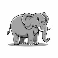 Elephant walking illustration, animals, Elephant at the zoo vector