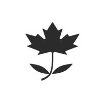 maple leaf silhouettes on the white background vector