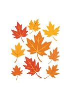 maple leaf silhouettes on the white background vector