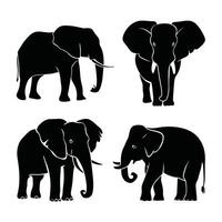 Elephant walking illustration, animals, Elephant at the zoo vector