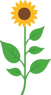 Simple Abstract hand drawn various shapes and flat flower. Nature flowers and Leaves illustration on white background