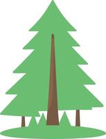 Simple pine flat tree illustration on white background vector