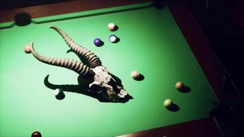 Animal Skull on Pool Table video