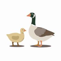 Set of cute white goose. goose illustration white background vector