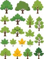 Simple pine flat tree illustration on white background vector