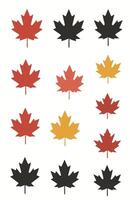 maple leaf silhouettes on the white background vector