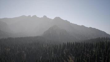 A view of a mountain range with trees in the foreground video