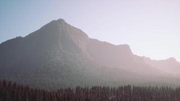 un ver de un montaña con arboles en el primer plano video