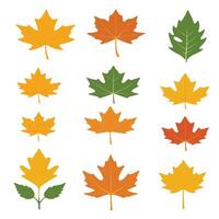 maple leaf silhouettes on the white background vector