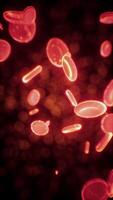 en bonne santé Humain rouge cellules sanguines abstrait concept video