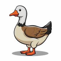 Cute duck isolated on white background, collection of birds, illustration of mallard, domestic and mandarin ducks vector