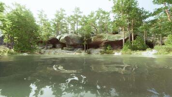 water lichaam omringd door bomen en rotsen video