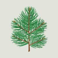 Green Christmas pine tree branch. Isolated on white illustration vector