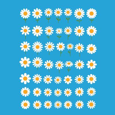 Simple Abstract hand drawn various shapes and flat flower. Nature flowers and Leaves illustration on white background