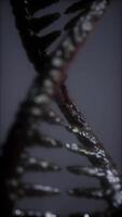 DNA molecule on the grey background video