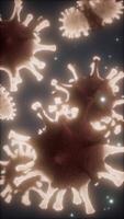 bactérias vírus ou germes células de microorganismos sob microscópio com profundidade video