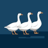 Set of cute white goose. goose illustration white background vector