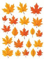 maple leaf silhouettes on the white background vector