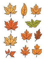 maple leaf silhouettes on the white background vector