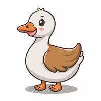 Cute duck isolated on white background, collection of birds, illustration of mallard, domestic and mandarin ducks vector