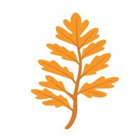 oak leaf silhouettes on the white background vector