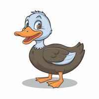 Cute duck isolated on white background, collection of birds, illustration of mallard, domestic and mandarin ducks vector