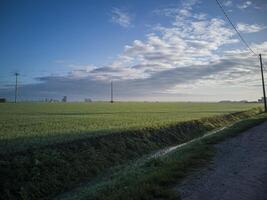 Countryside landscape with field photo