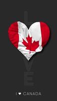 Canadá corazón forma bandera sin costura serpenteado amor vertical estado, 3d representación video