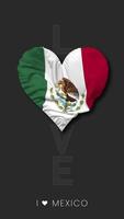 mexico corazón forma bandera sin costura serpenteado amor vertical estado, 3d representación video