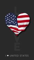 United States Heart Shape Flag Seamless Looped Love Vertical Status, 3D Rendering video