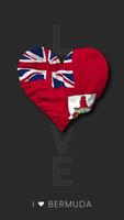 islas Bermudas corazón forma bandera sin costura serpenteado amor vertical estado, 3d representación video