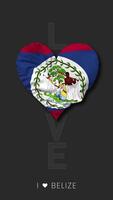 Belize Heart Shape Flag Seamless Looped Love Vertical Status, 3D Rendering video