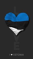Estônia coração forma bandeira desatado em loop amor vertical status, 3d Renderização video