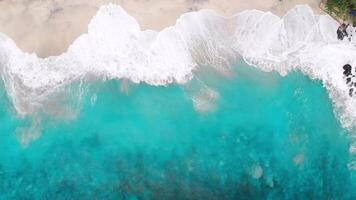 Tropical beach with blue ocean water and waves, aerial view. Top view of paradise island video