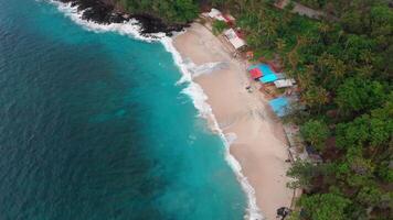 tropical Visão com azul oceano dentro ensolarado dia, aéreo visualizar. mar panorama dentro bali video