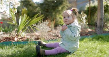 bellezza carino bambino ragazza nel primavera giardino seduta e giocando su prato. video