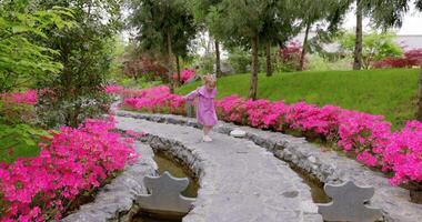 schattig weinig meisje in elegant jurk rennen en spelen in zomer tuin met roze bloemen. video