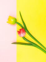 Wooden tulips contrasted with the background color. photo
