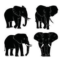 Elephant walking illustration, animals, Elephant at the zoo vector