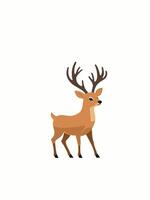 Deer, raindeer. Flat illustration. Isolated on white background vector