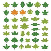 oak leaf silhouettes on the white background vector