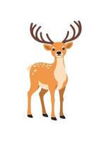 Deer, raindeer. Flat illustration. Isolated on white background vector