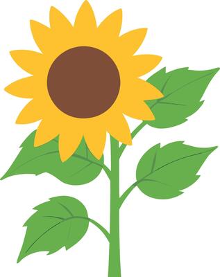 Simple Abstract hand drawn various shapes and flat flower. Nature flowers and Leaves illustration on white background