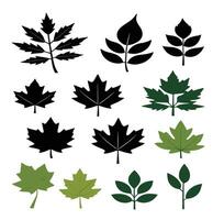 maple leaf silhouettes on the white background vector