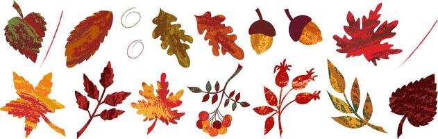 Autumn set of isolated elements of abstract texture leaves of maple, oak and rowan berries. Texture hand-drawn seasonal illustrations for autumn holidays design. vector