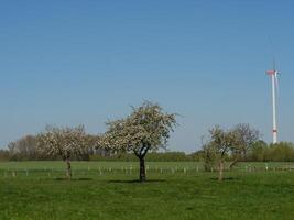 in the german muensterland photo