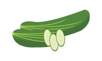 Cucumber Design And Illustration. vector